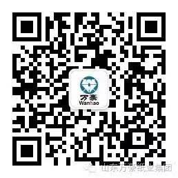 开云电子官方网站